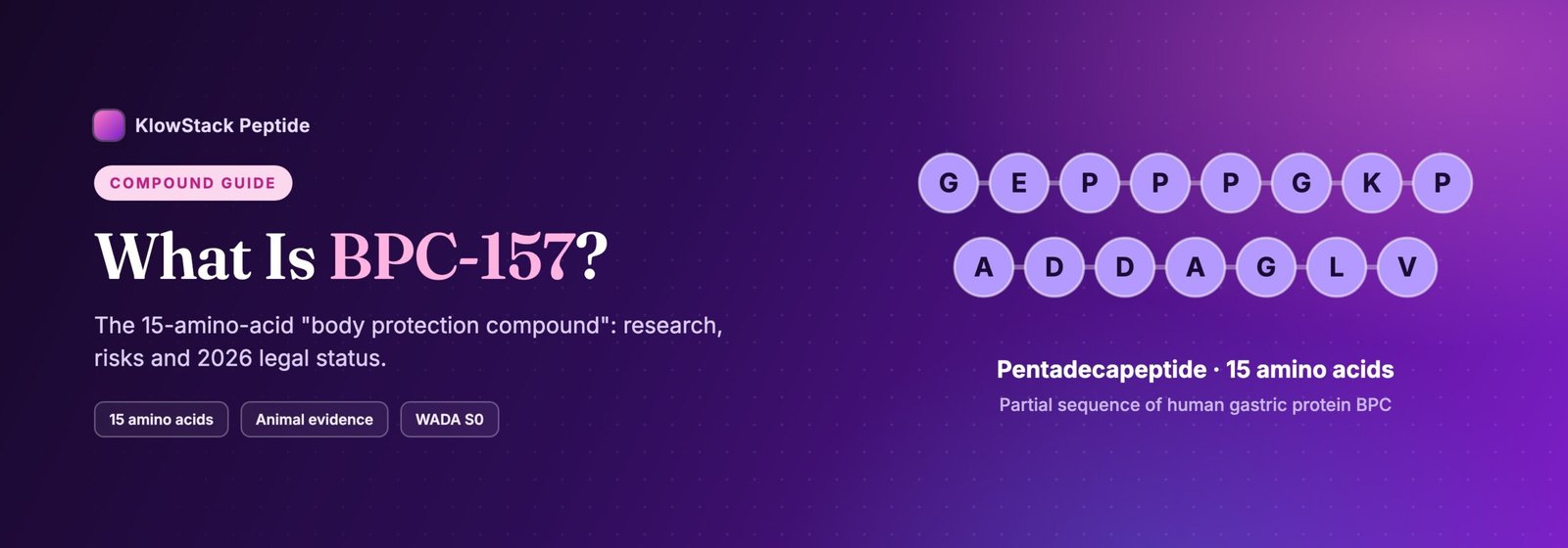 What is BPC-157: 15-amino-acid pentadecapeptide sequence