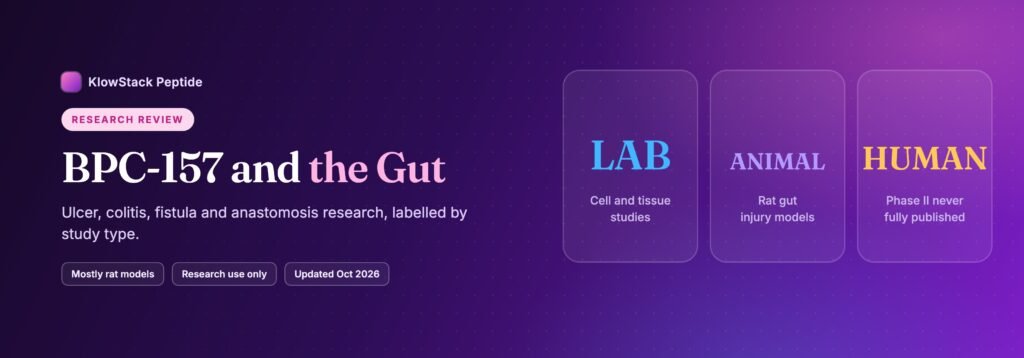 BPC-157 and the gut research banner with three tiles: lab cell and tissue studies, rat gut injury models, and a human phase II program never fully published