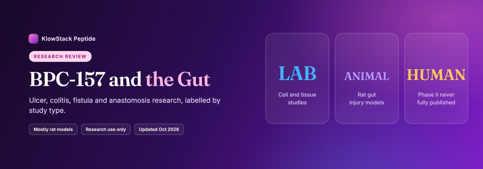BPC-157 and the gut research banner with three tiles: lab cell and tissue studies, rat gut injury models, and a human phase II program never fully published