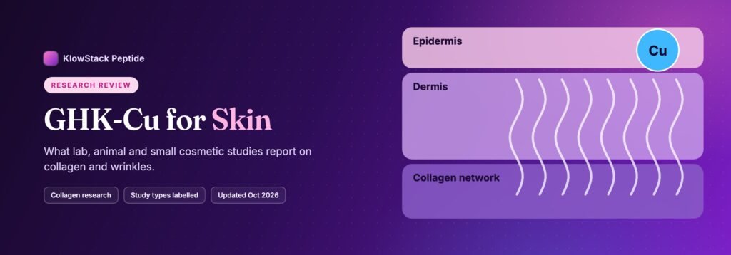 Diagram of skin layers and the collagen network with a copper (GHK-Cu) marker