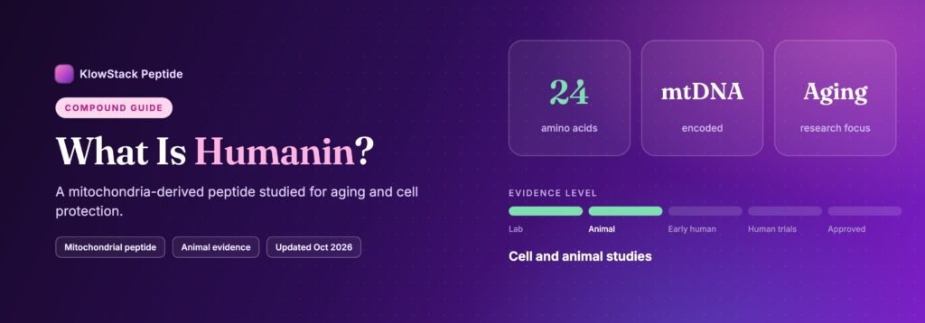 What is Humanin: 24 amino acids, evidence level cell and animal studies