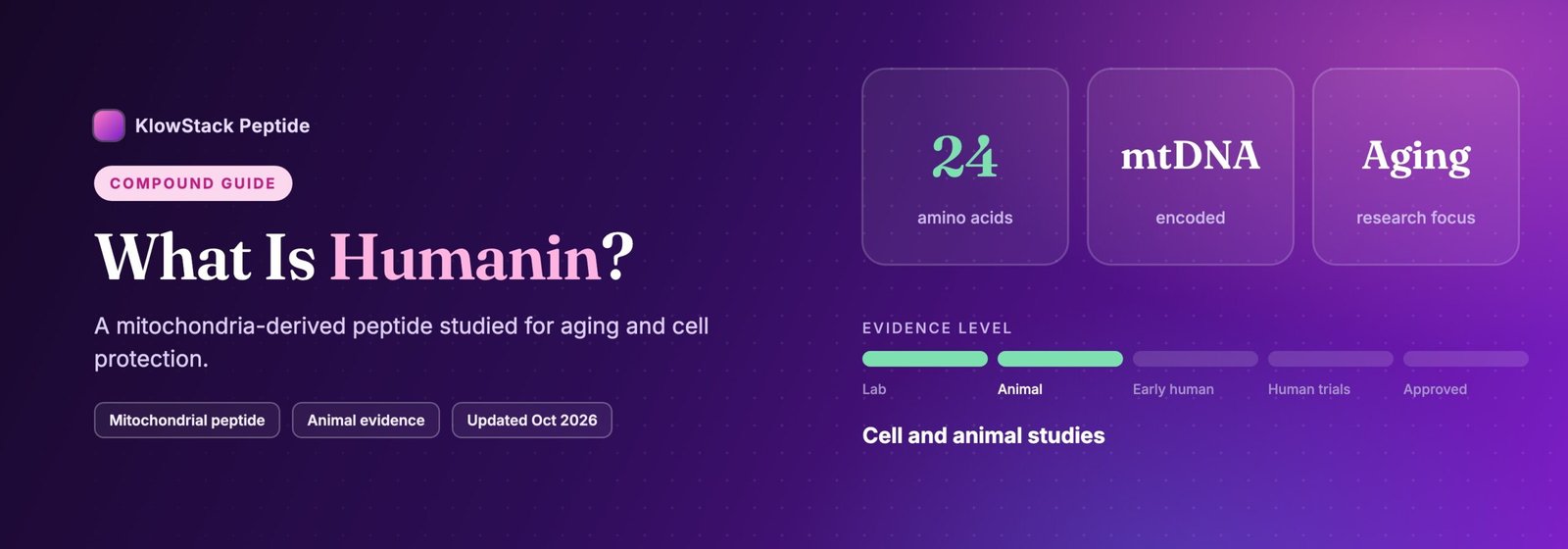 What is Humanin: 24 amino acids, evidence level cell and animal studies