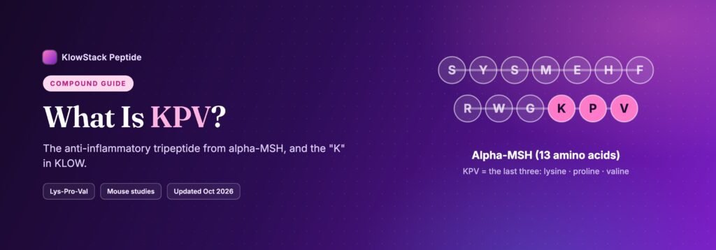 What is KPV peptide: the last three amino acids of alpha-MSH