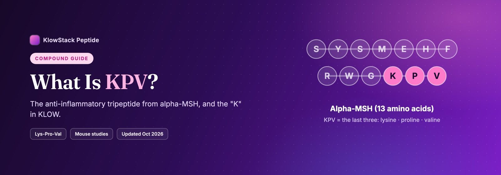 What is KPV peptide: the last three amino acids of alpha-MSH