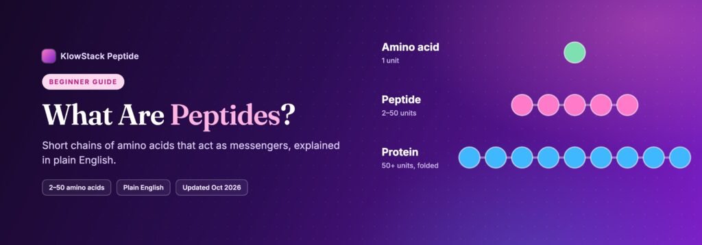 Diagram of an amino acid, a short peptide chain and a longer protein chain