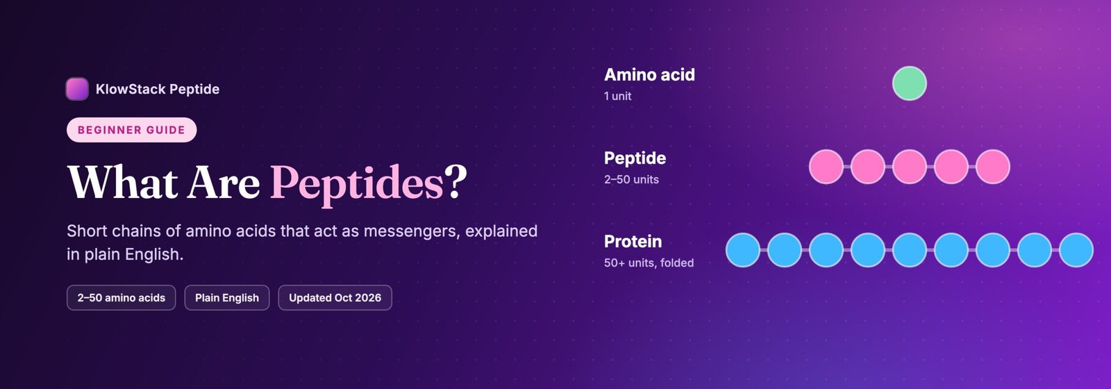 Diagram of an amino acid, a short peptide chain and a longer protein chain